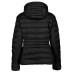 EA7 Emporio Armani giubbotto corto da Donna nero con logo oro 