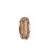 Guess Borsa a mano Small Crema con stampa logo All Over e tracolla regolabile, estraibile 