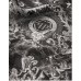 Philipp Plein sciarpa nera con logo all over
